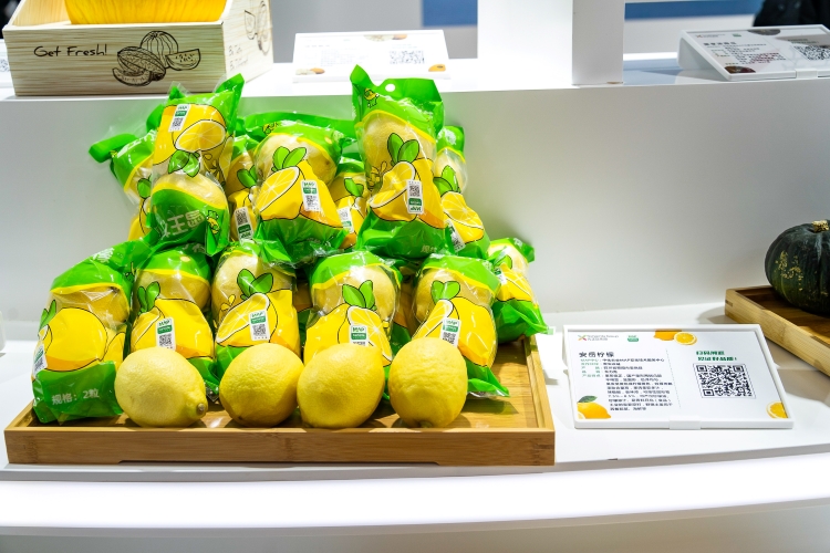 OEŷ��|�ٷ���վ